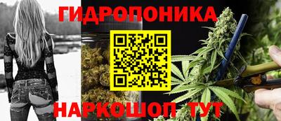 спиды Каменск-Шахтинский