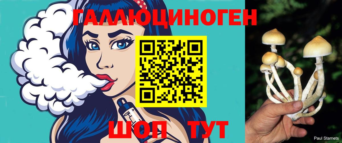 Псилоцибиновые грибы Psilocybine cubensis  Вход с VPN  Нефтеюганск 